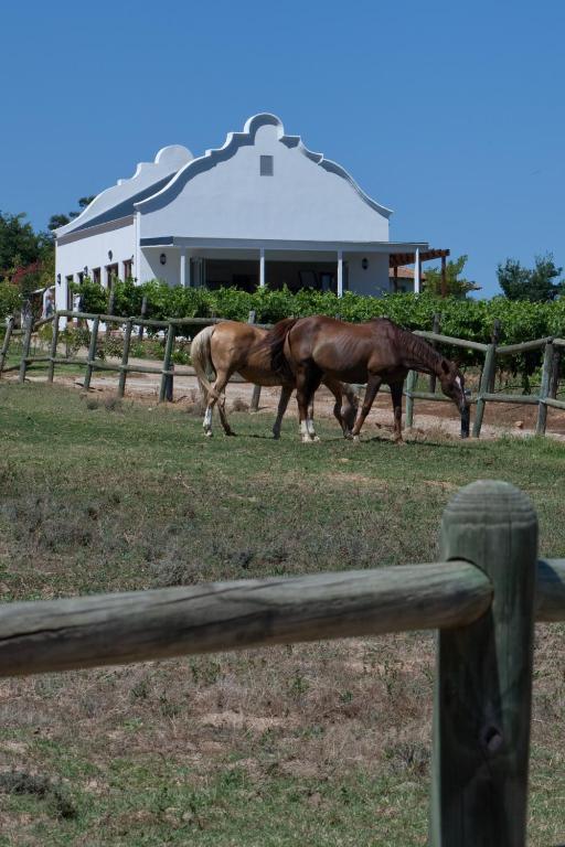 Dunstone Country House Wellington Exterior foto